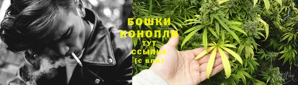 дурь Бронницы